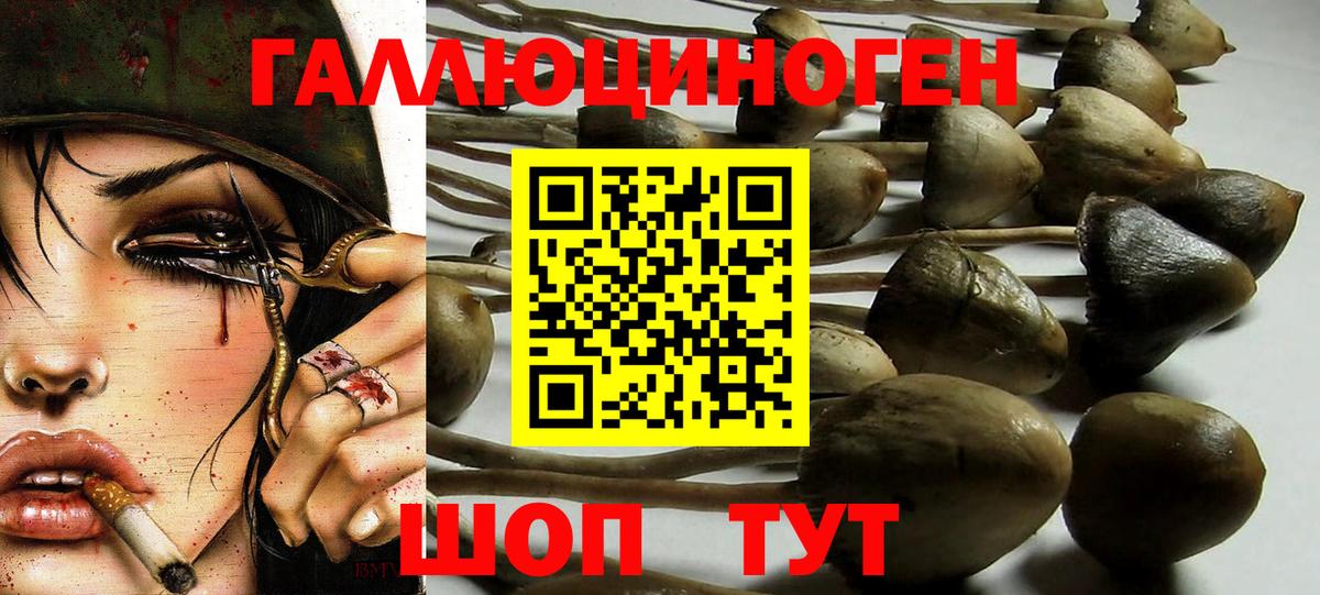 Псилоцибиновые грибы GOLDEN TEACHER  Галлюциногенные грибы Psilocybine cubensis  продажа наркотиков  Миасс  Вход с VPN 
